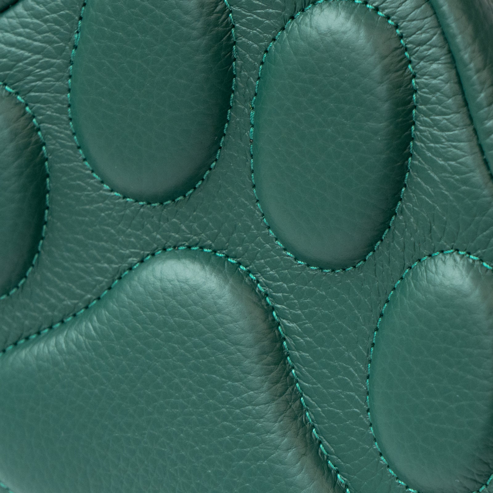 ショルダーバッグ PAW (パウ) キュイール・マッシュ / エメラルド