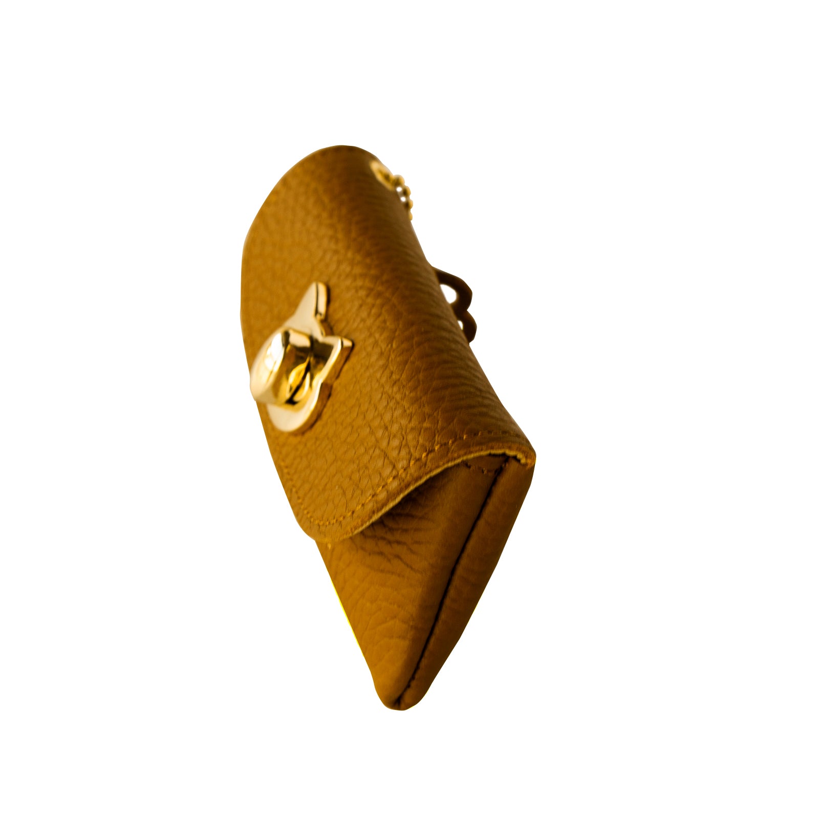 Frunya Pouch Mini Taurillon Clemence / Gold