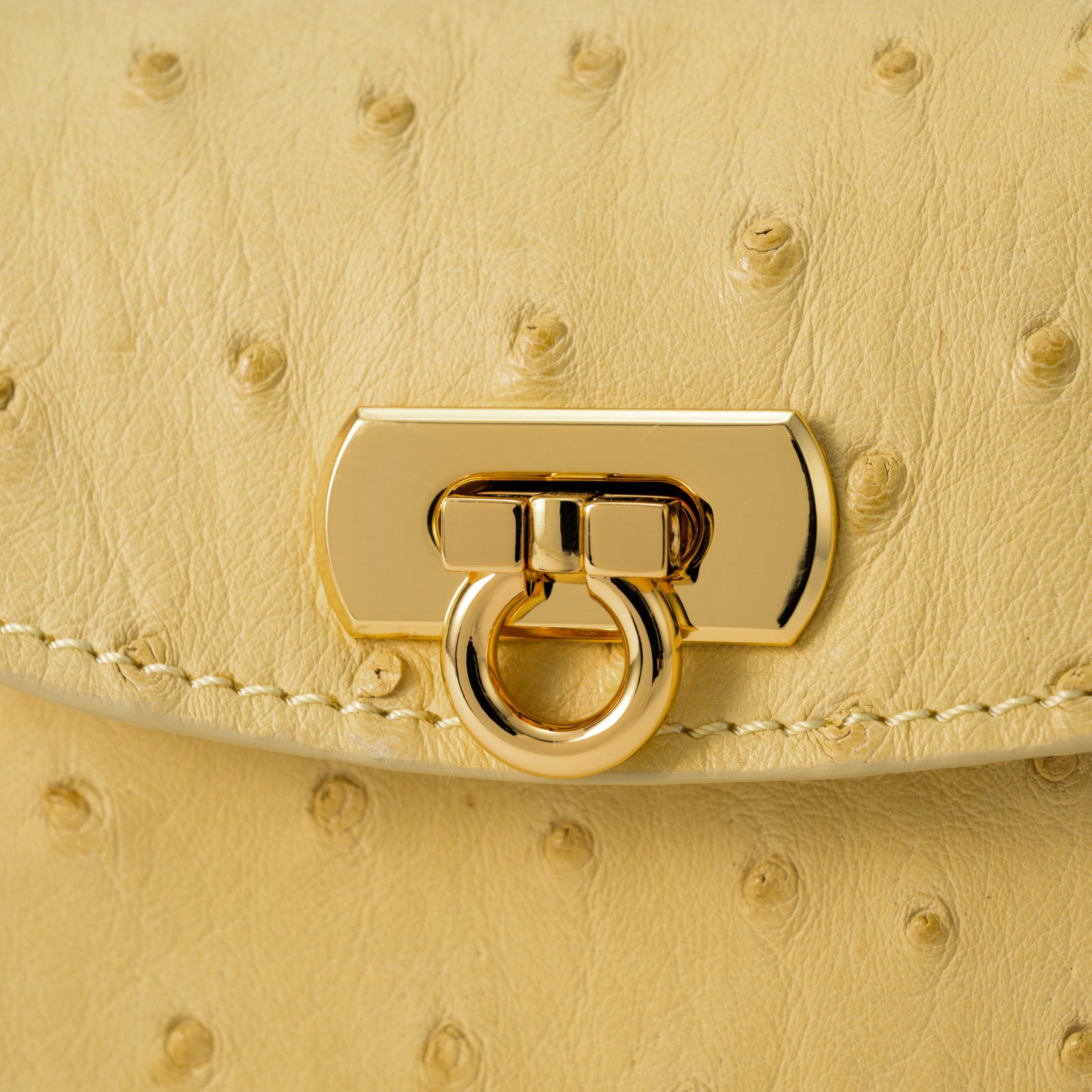 Leather flap middle wallet / Ostrich
