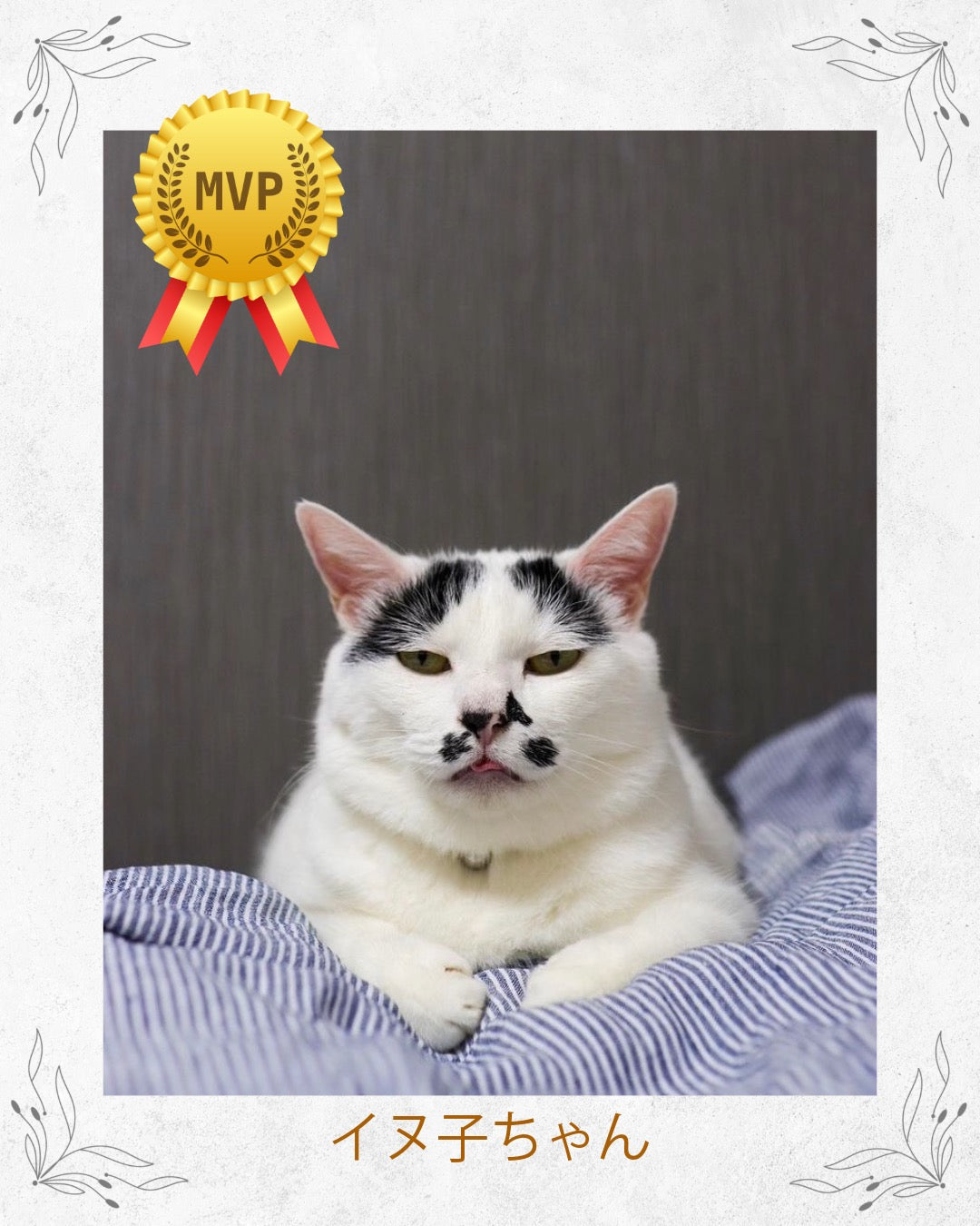 にゃんPHOTOコンテスト結果発表！