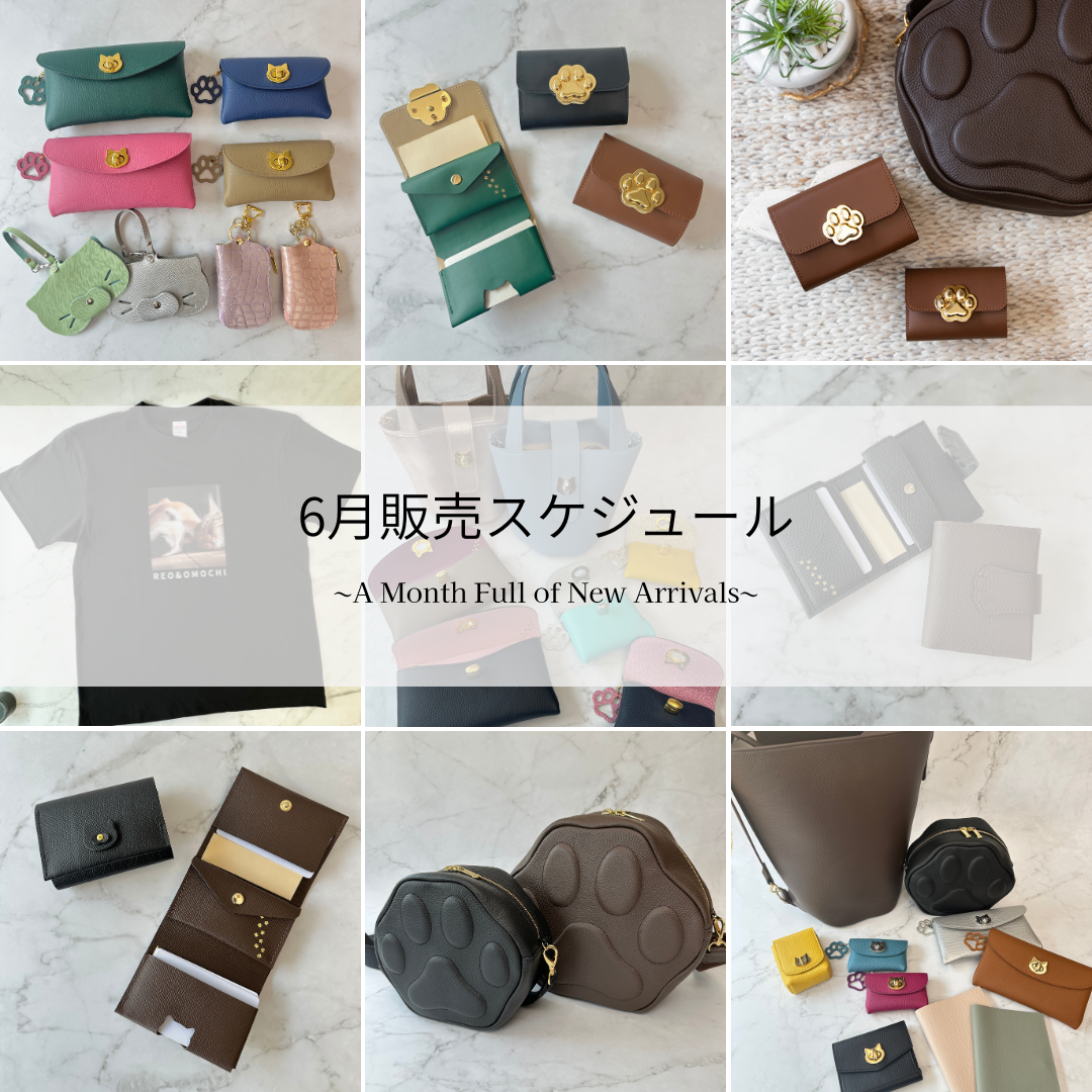 🐾6月の販売スケジュール🐾