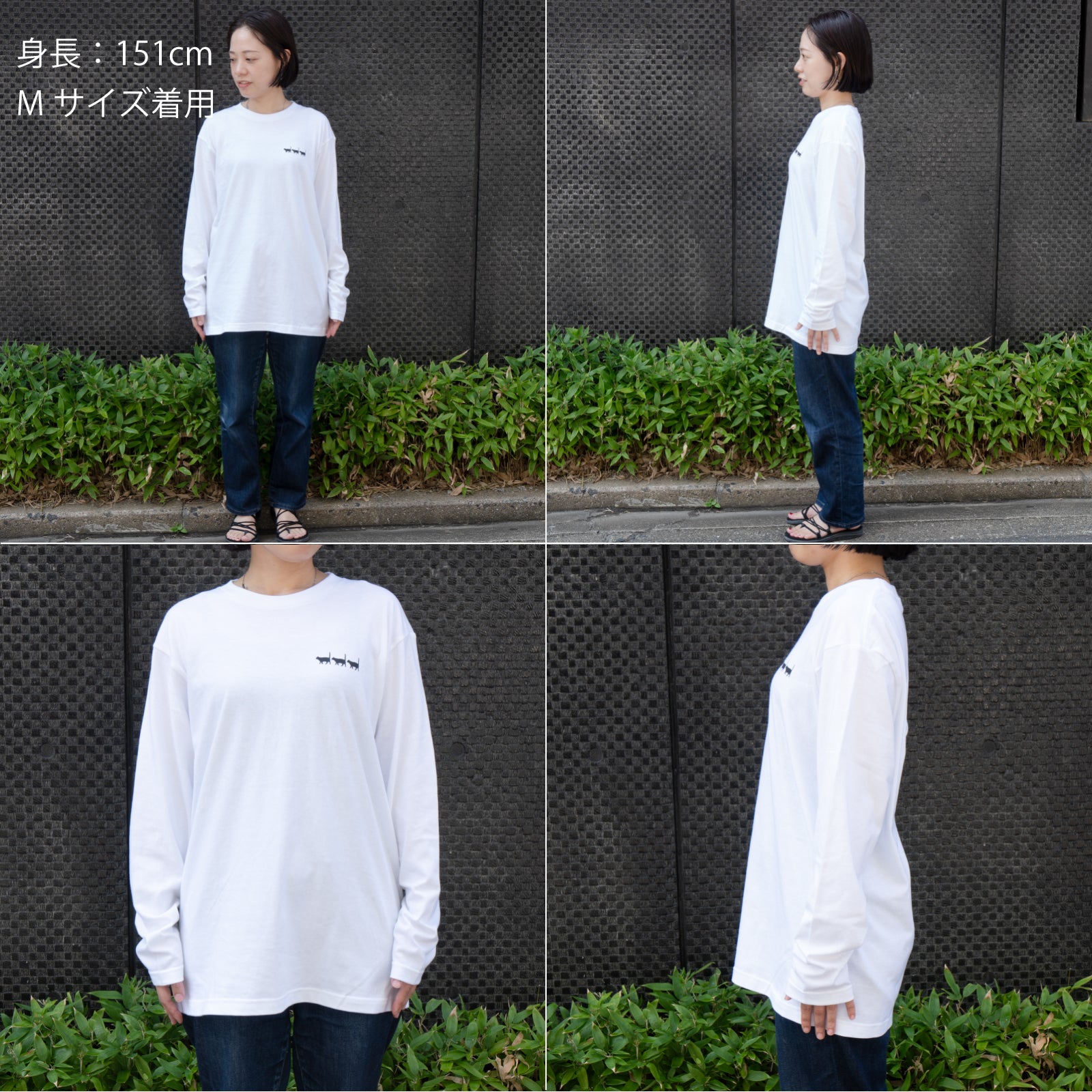 [9/8 (Sun) One-day only, pre-order sale] Cat print long T-shirt [Black cat march] / White