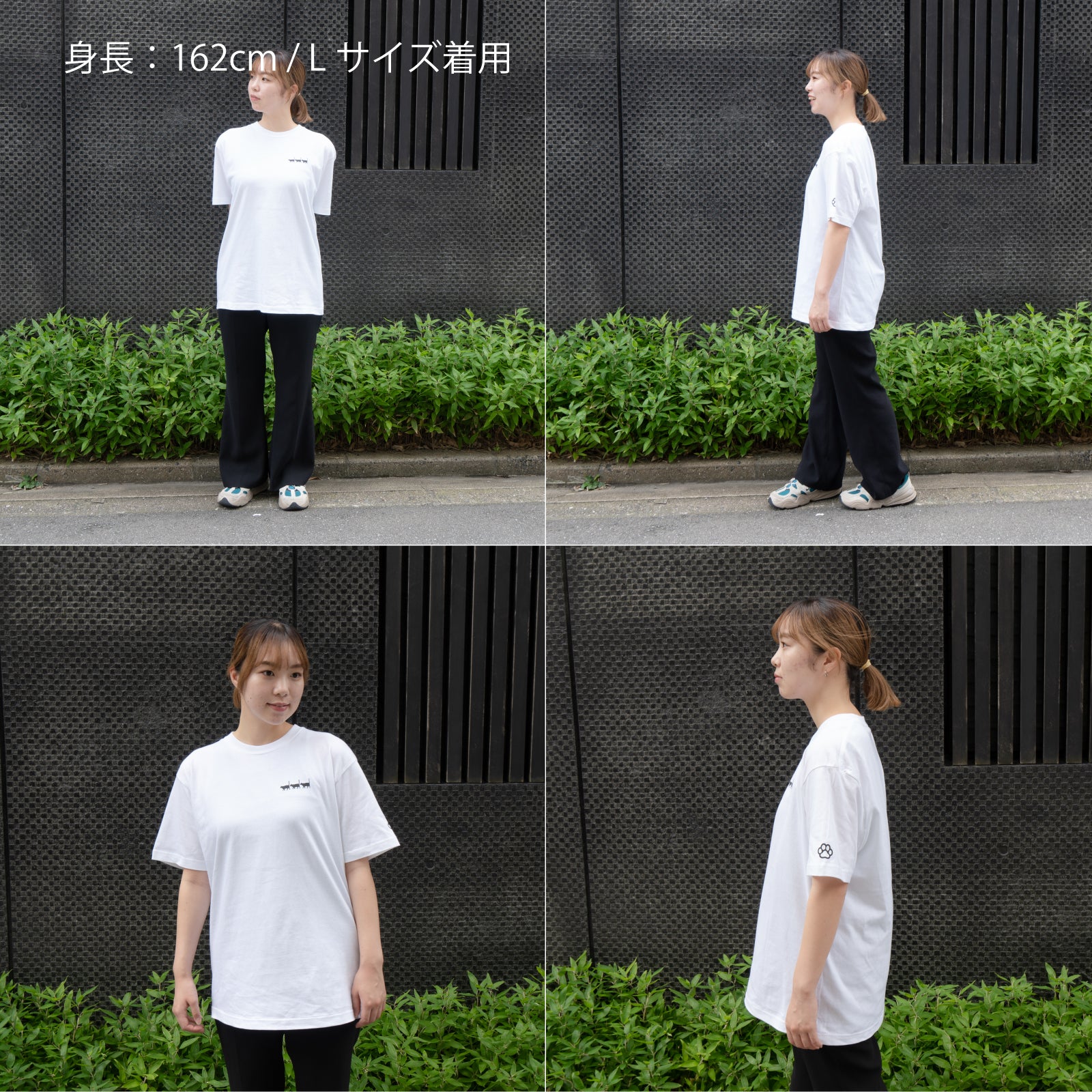 [8/22 (Thu) One-day only, pre-order sale] Cat print T-shirt [Black cat march] / White