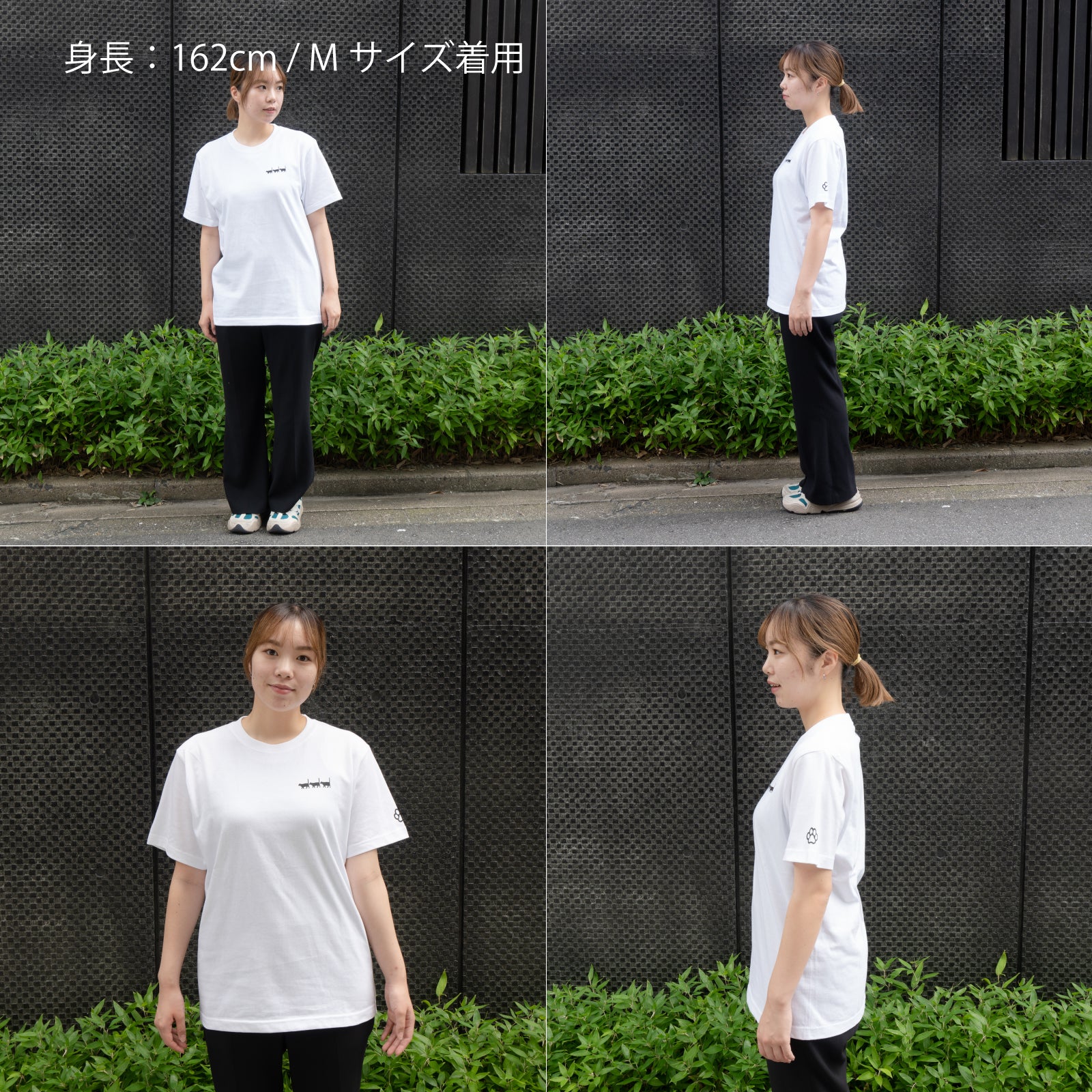 [8/22 (Thu) One-day only, pre-order sale] Cat print T-shirt [Black cat march] / White