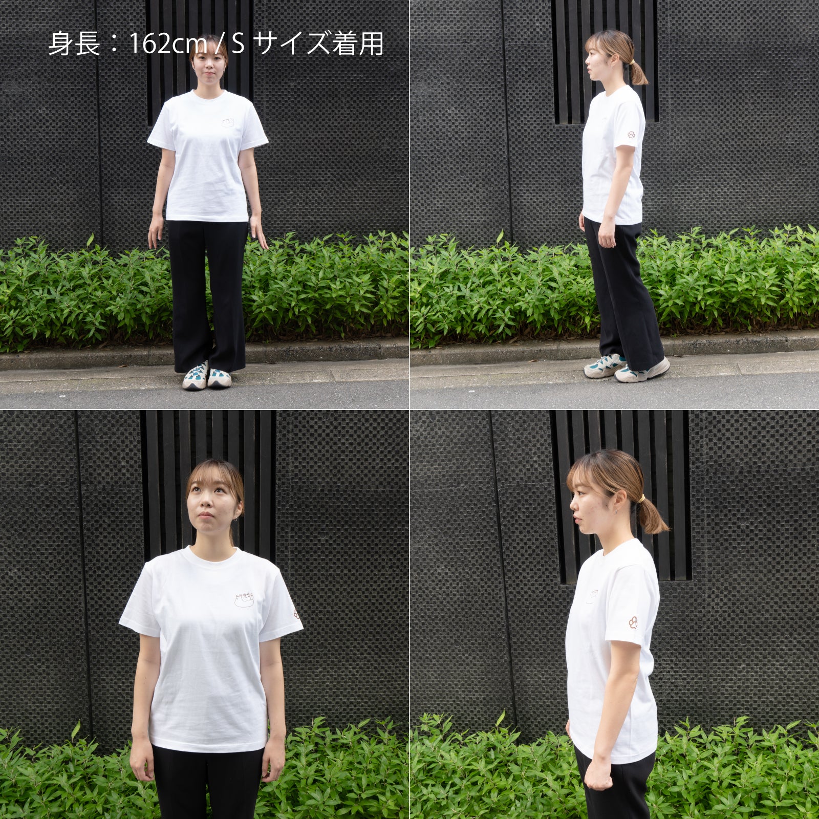 [8/22 (Thu) One-day only, pre-order sale] Cat print T-shirt [Black cat march] / White