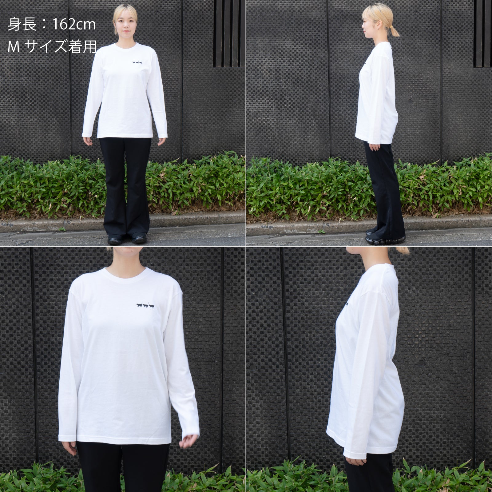 [9/8 (Sun) One-day only, pre-order sale] Cat print long T-shirt [Black cat march] / White