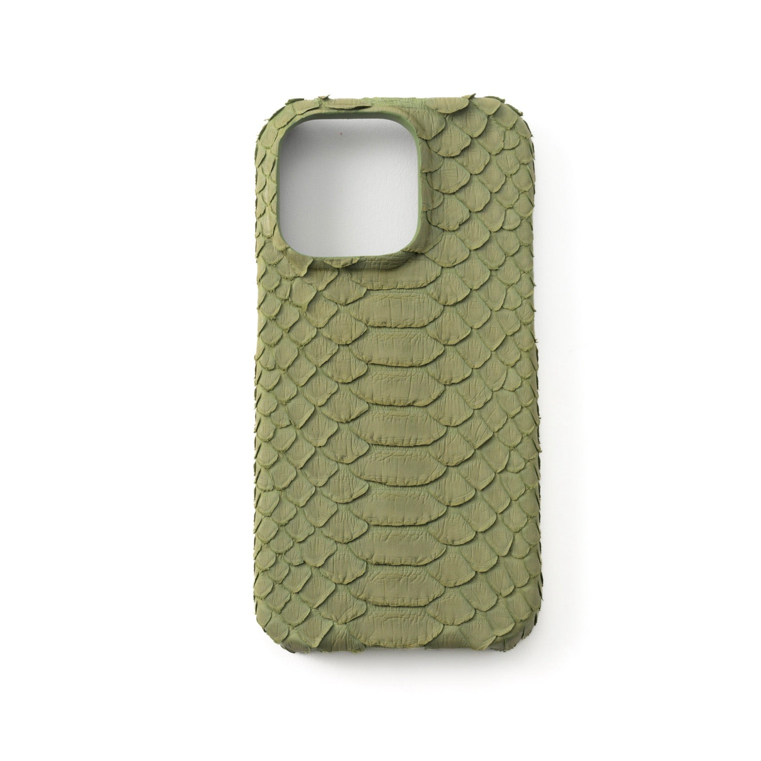 [6th Anniversary Thanksgiving] iPhone Back Cover (iPhone 15 Pro / Moss Green) Python