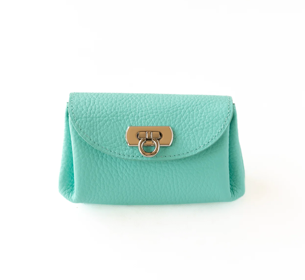 [Lottery Sale] Shell Pouch [CAT] Taurillon Clemence/Tiffany Blue