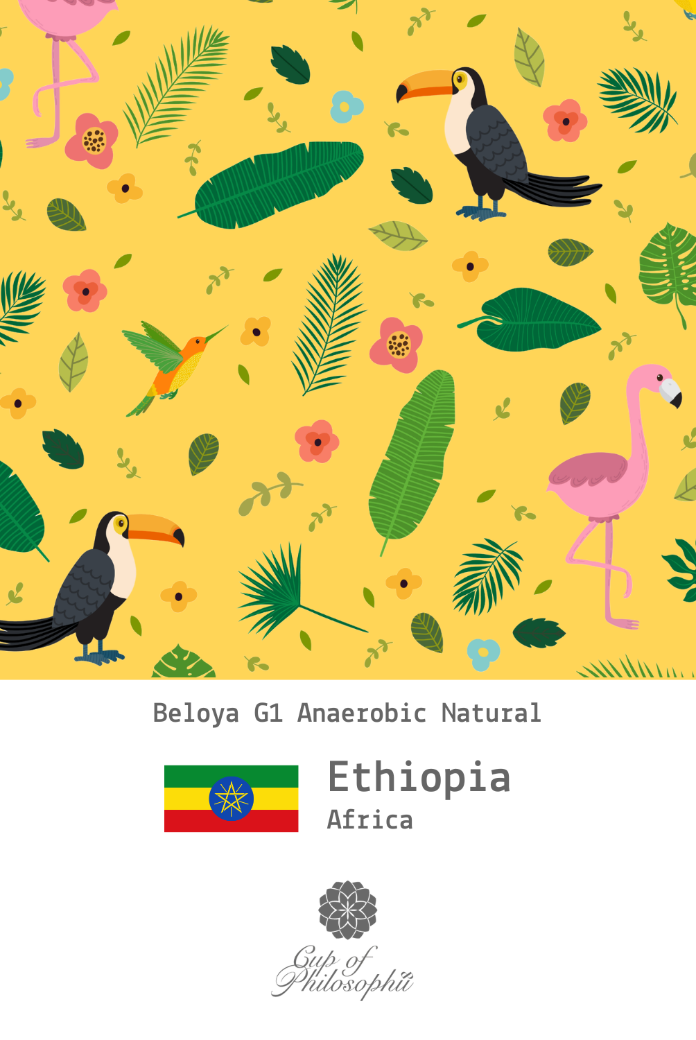 [Specialty Coffee] Ethiopia Yirgacheffe G1 Anaerobic Natural