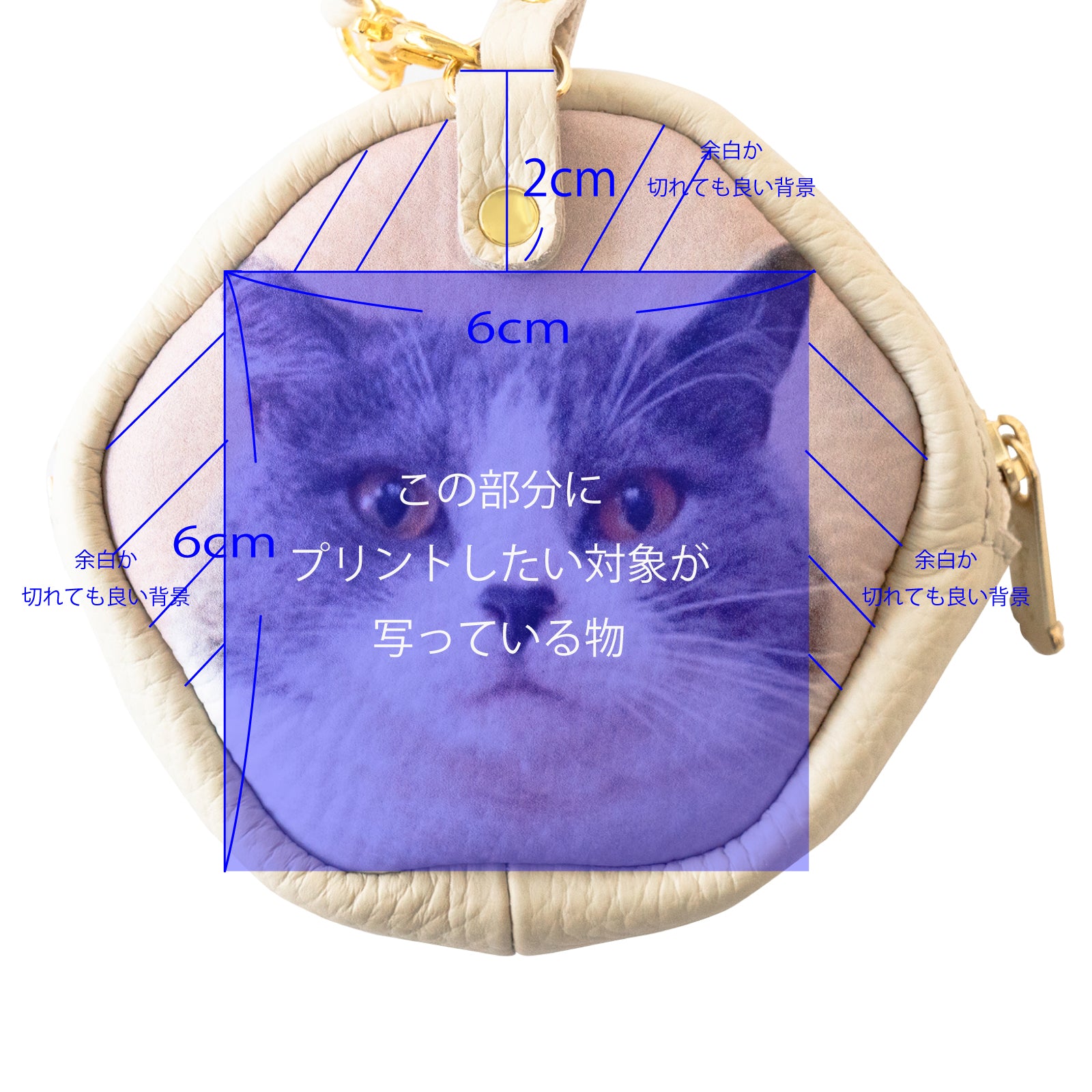 【2/21(土)22:00～23(月)23:59】【猫の日限定】PAWうちのこチャームポーチ　キュイール・マッシュ   /  メレンゲ