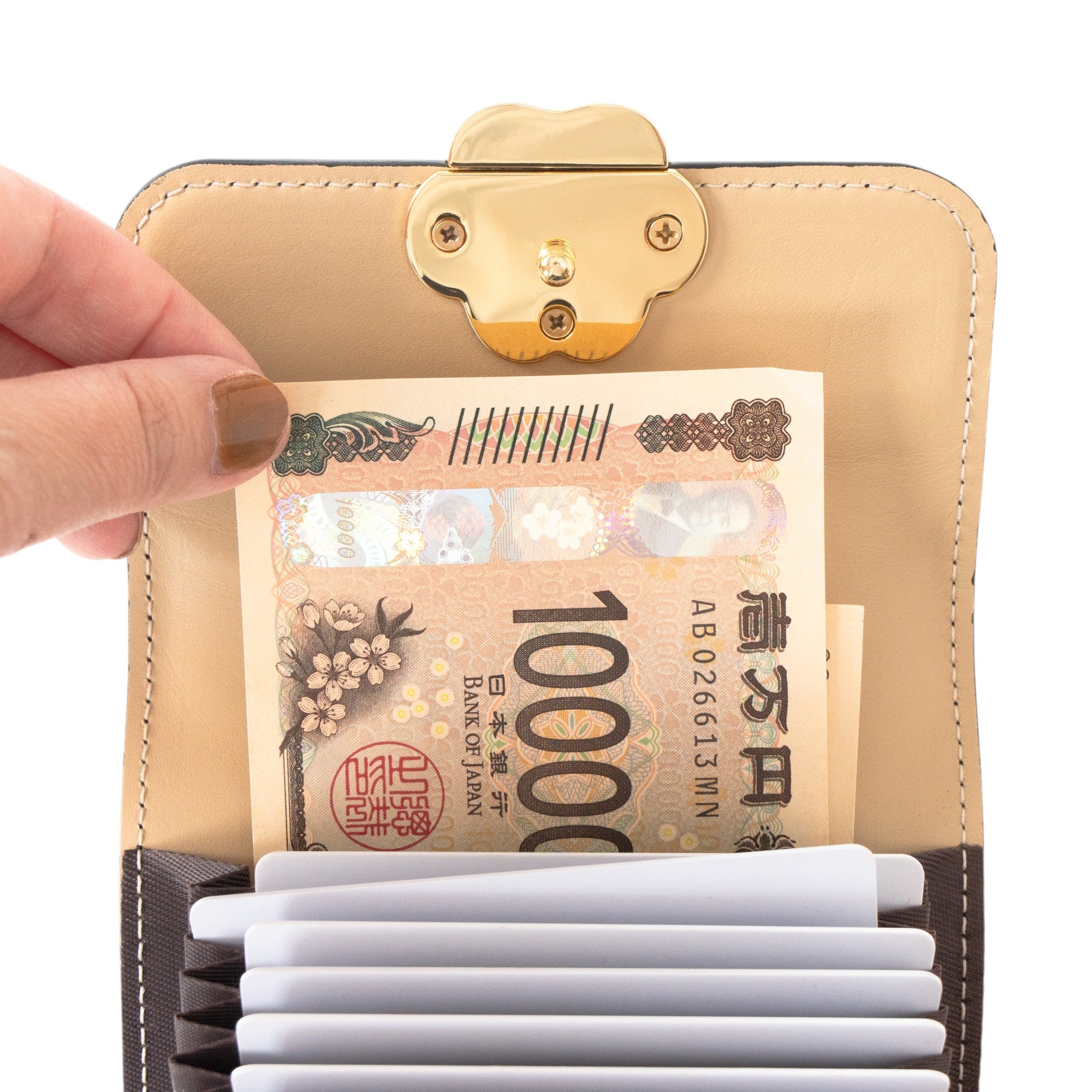 Early bird discount available. Pre-order: June 5 (Fri) 22:00 - June 14 (Sun). PAW Plate Mid Wallet / Black