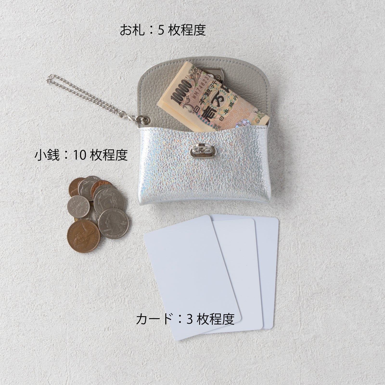 [Resale from 12/1 (Sun)] Flap Wallet Fleur Mini (with chain strap) Prism Leather / Aurora Silver