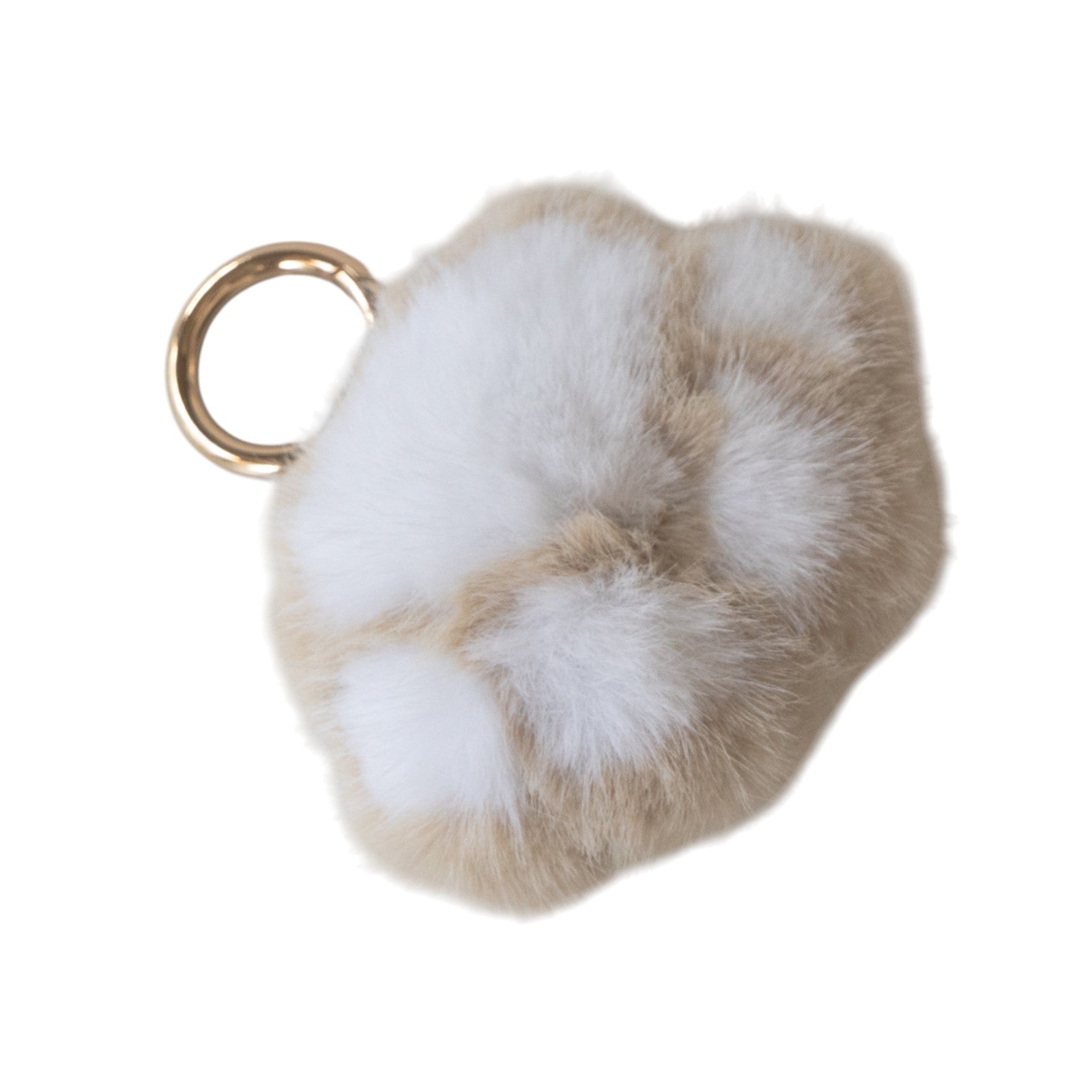 うちのこPHOTOトートバッグ・M  / グレージュ