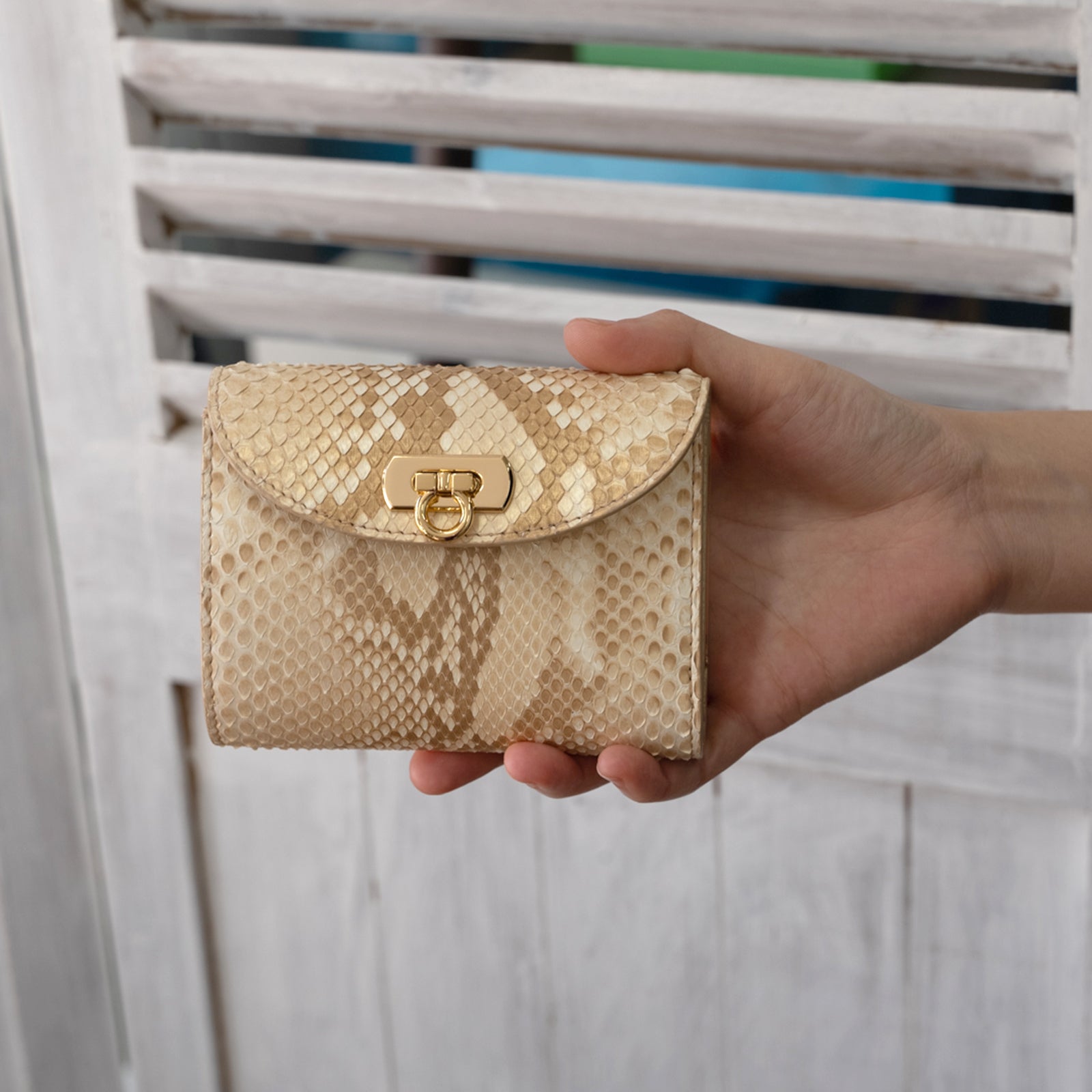 [Python Wallet Fair (2/9-2/25)] Clasp Middle Wallet Antine Python Leather 