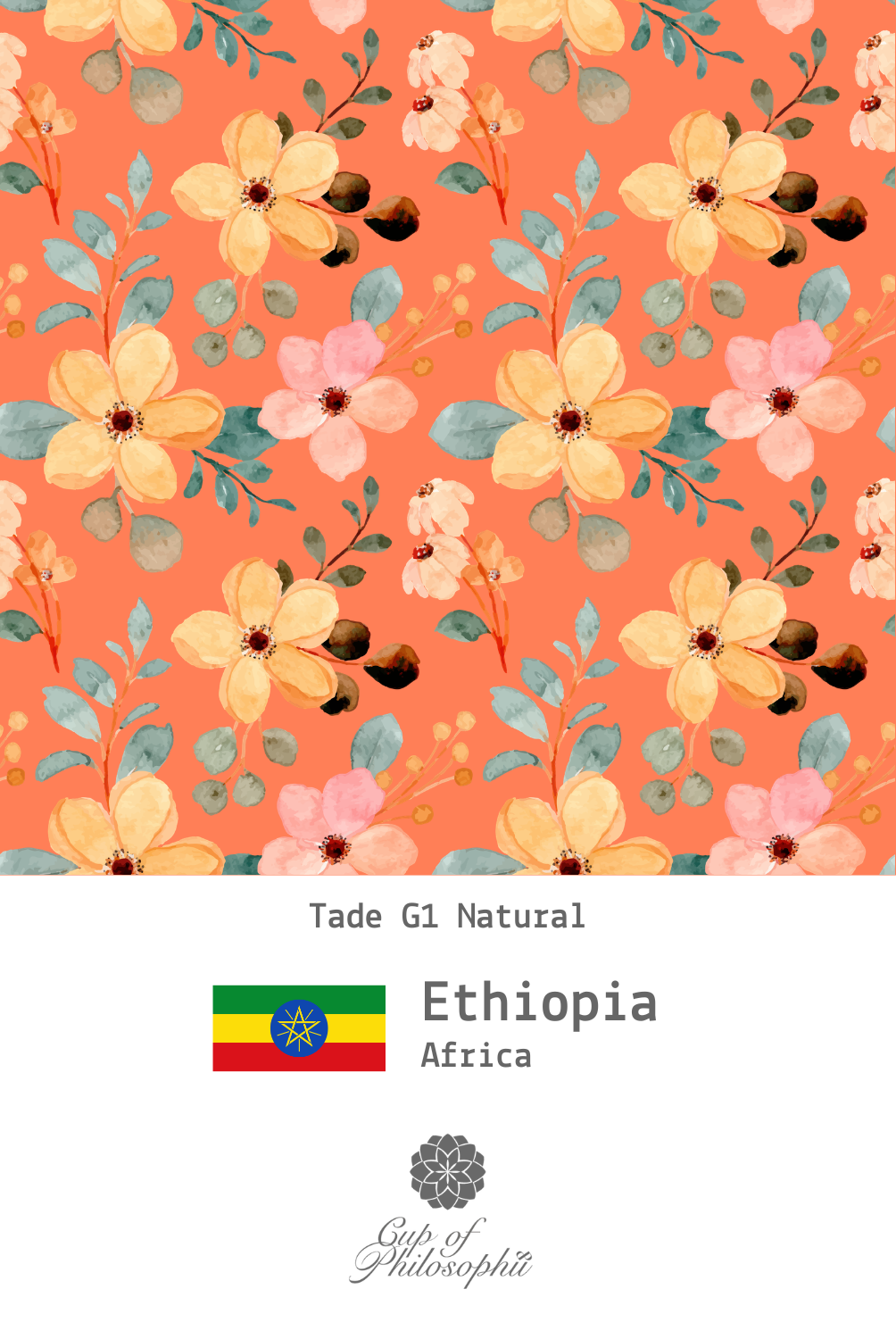 [Specialty Coffee] Ethiopia Sidamo G1 Natural