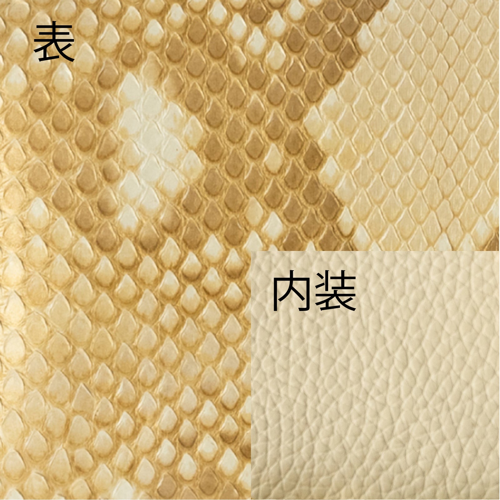 Bi-fold wallet ecle python leather 