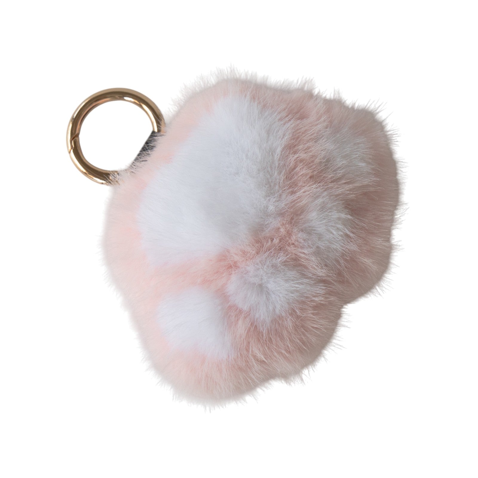 うちのこPHOTOトートバッグ・S  /グレージュ