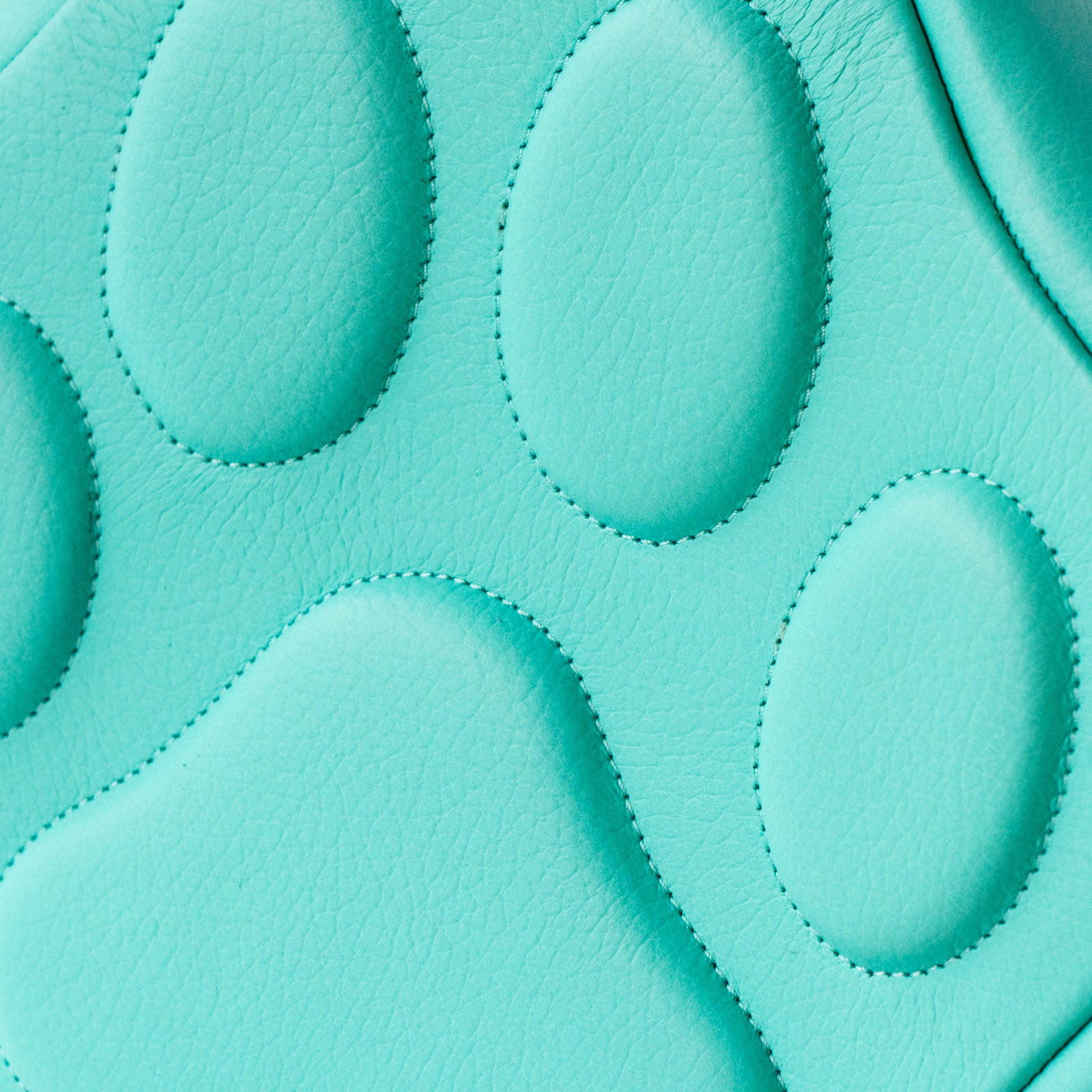 [Limited Quantity] Baguette Bag PAW Cuir Mache / Tiffany Blue