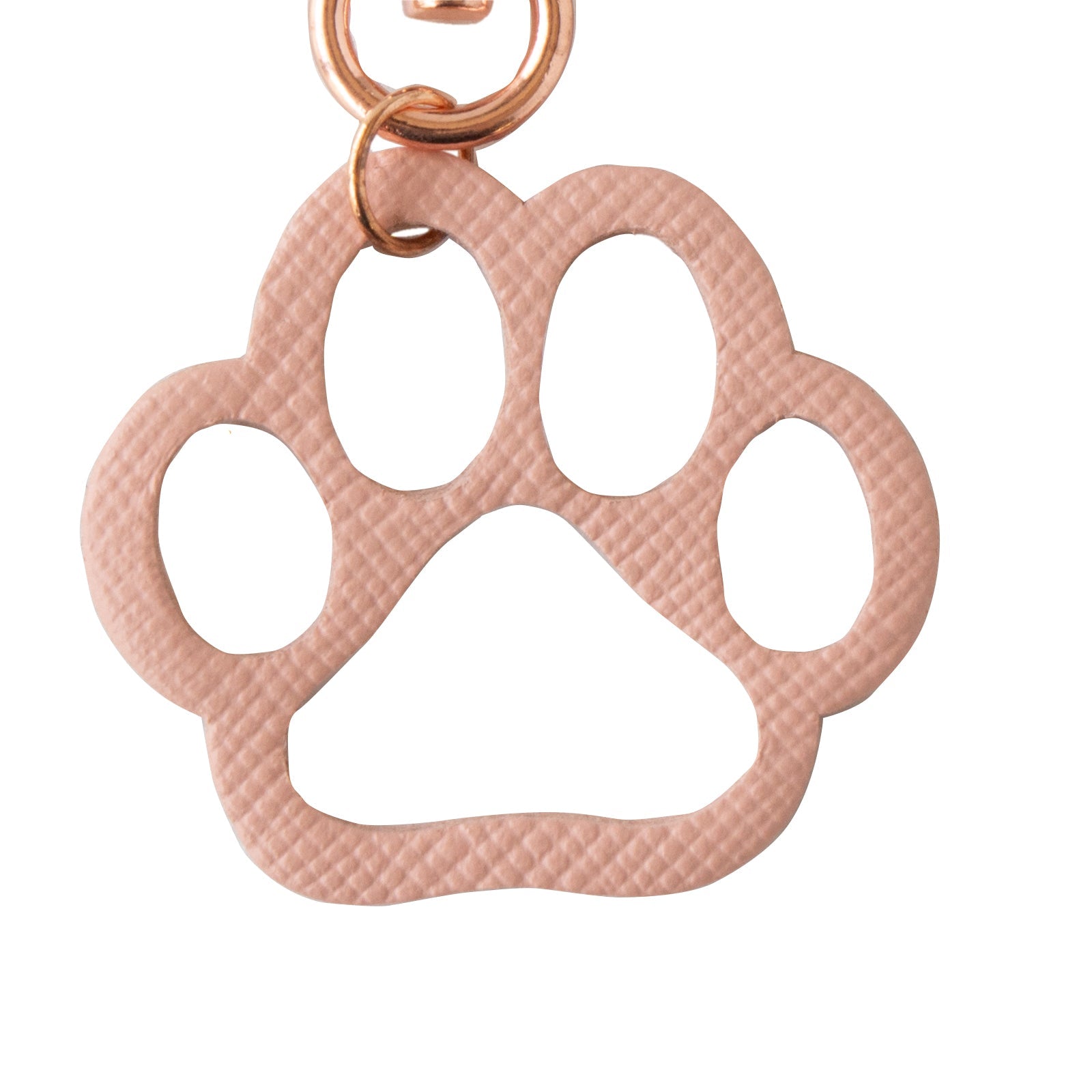 [9/22 (Sun) One-day only, pre-order sales] Paw Meow Holder Gacha (5-piece set) 