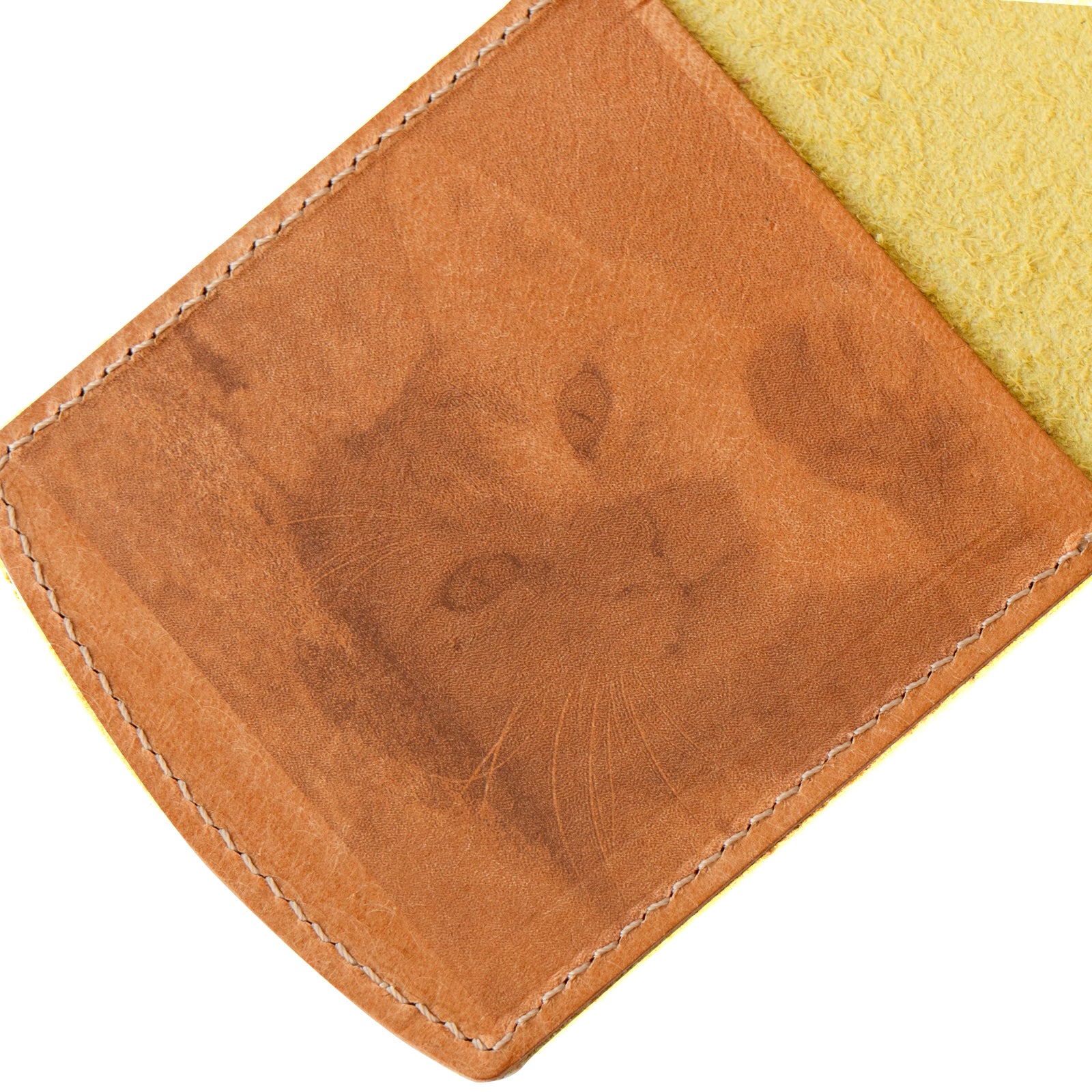 [7/22 (Mon) One-day only, pre-order sale] Nyan Photo Pass Case, Epsom leather / Jaune Poussin