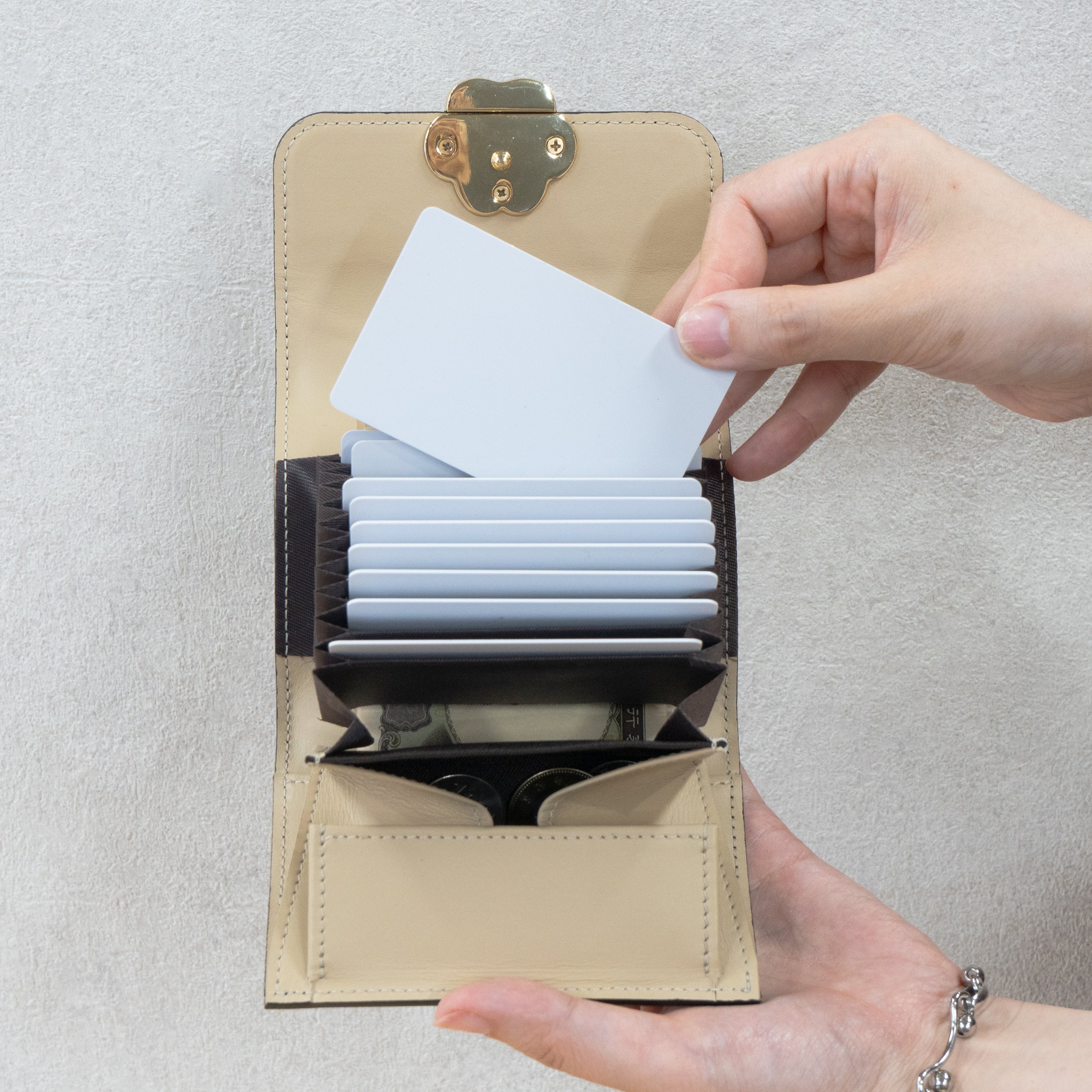 Early bird discount available. Pre-order: June 5 (Fri) 22:00 - June 14 (Sun). PAW Plate Mid Wallet / Black