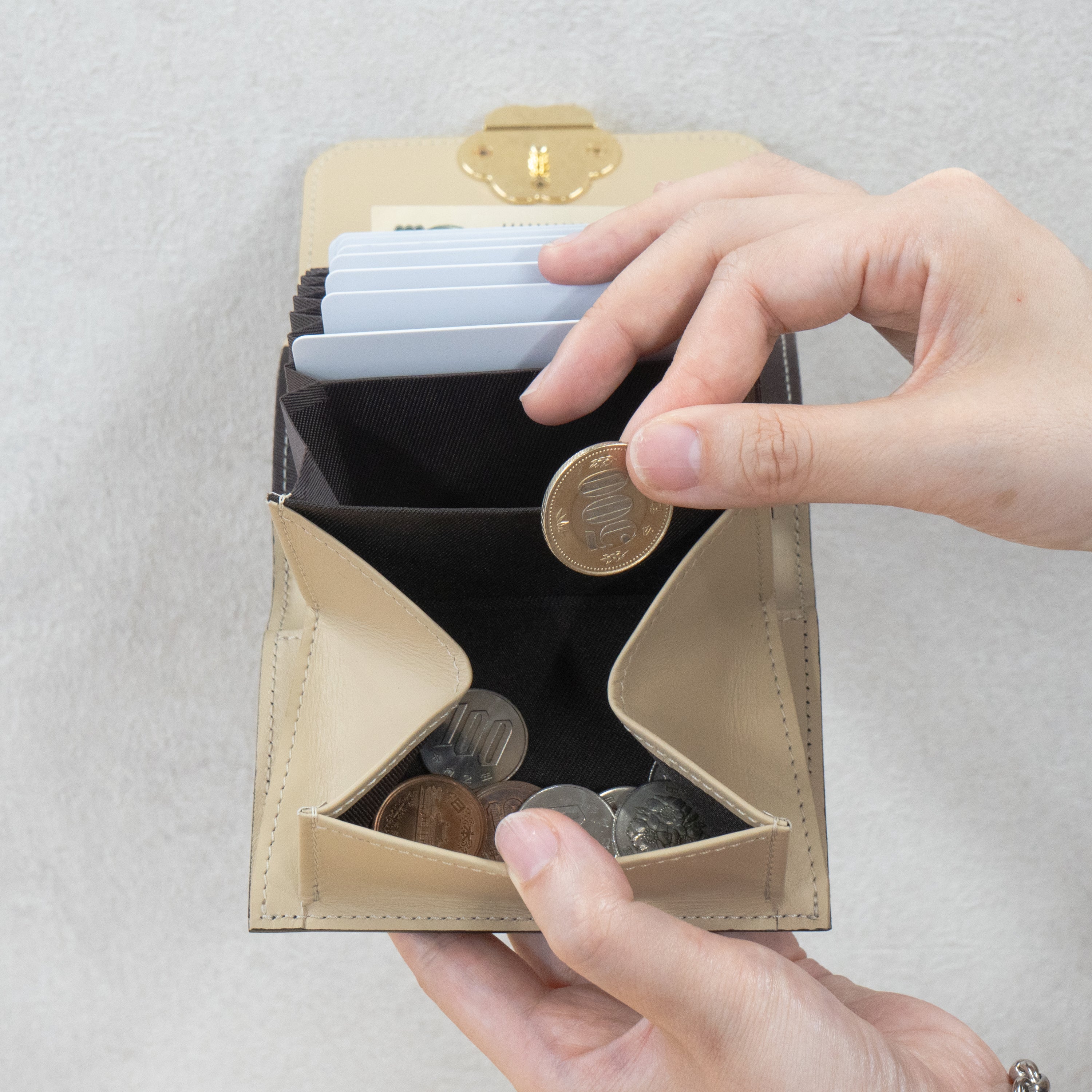 Early bird discount available. Pre-order: June 5 (Fri) 22:00 - June 14 (Sun). PAW Plate Mid Wallet / Black