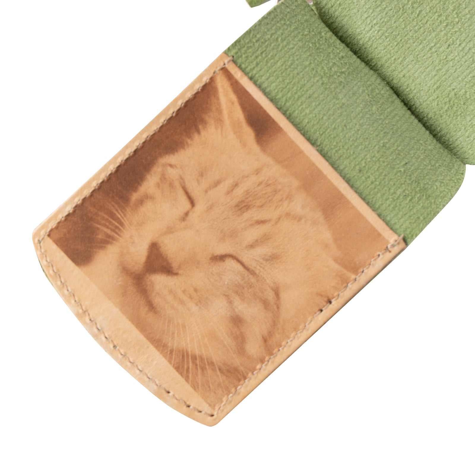 [9/8 (Sun) One-day only, pre-order sale] Nyan Photo Pass Case, Veau Epsom / Pistachio