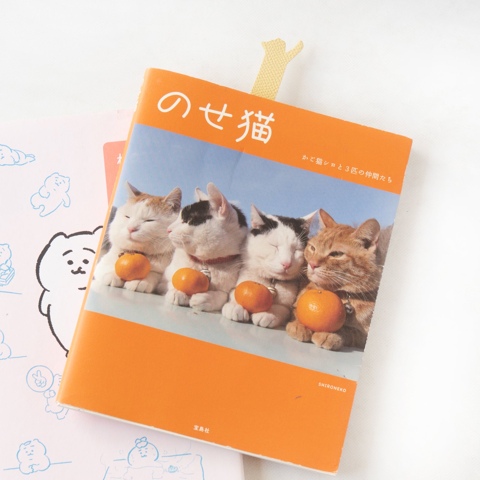 【9/7(日)22:00～ 26時間限定販売】ブックニャーク(のび）  キュイール・ミネルバ  /  カナリア