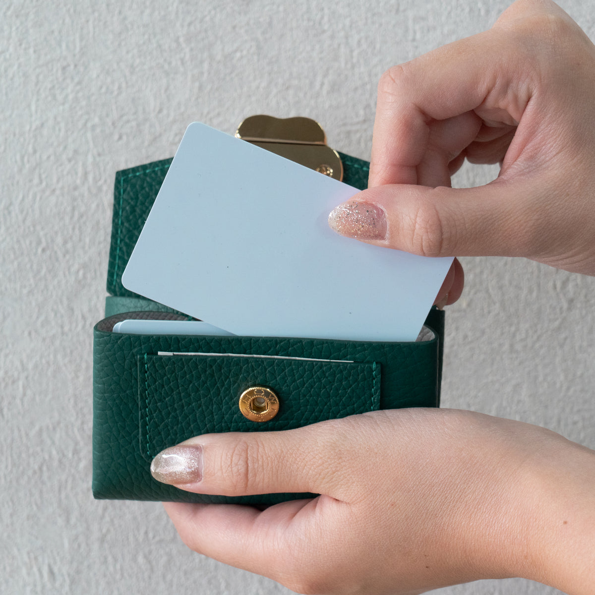 [Made-to-order: 10/23 (Fri) 22:00 – 26 (Mon)] Small Multi-Case: Meowver Mini Cuir Mush / Emerald