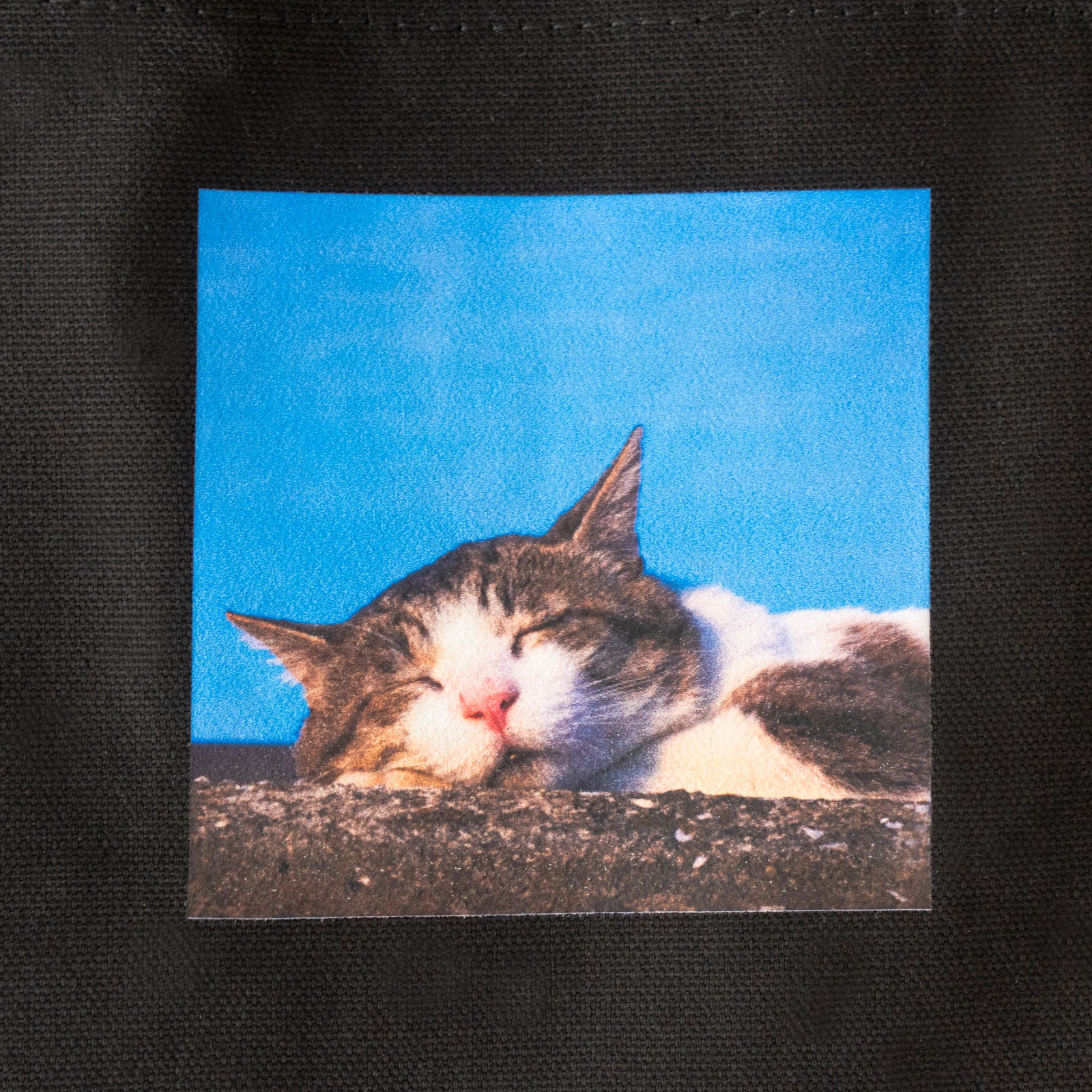 うちのこPHOTOトートバッグ・S  /ブラック