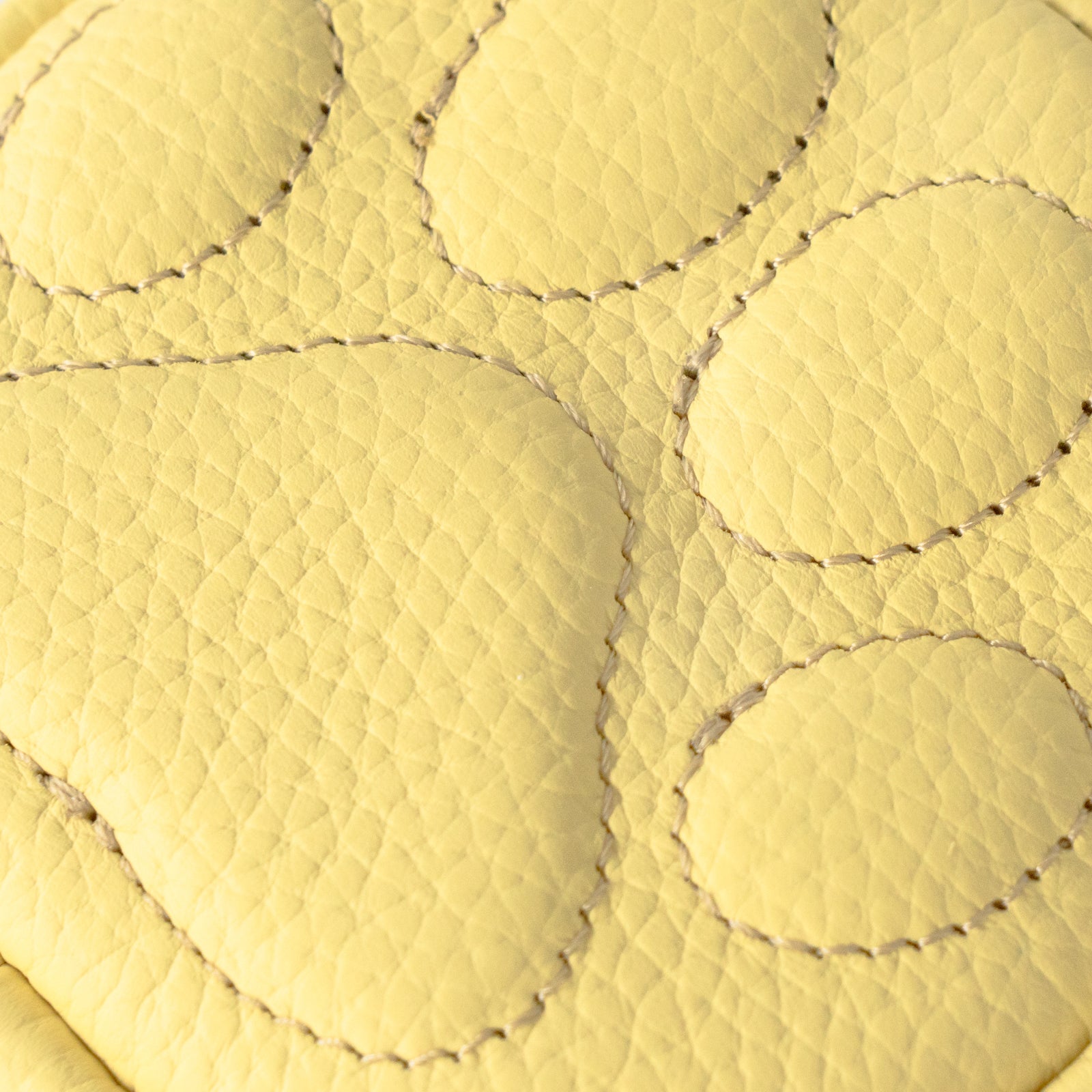 PAWチャームポーチ　キュイール　マッシュ  /  ジョーヌプッサン