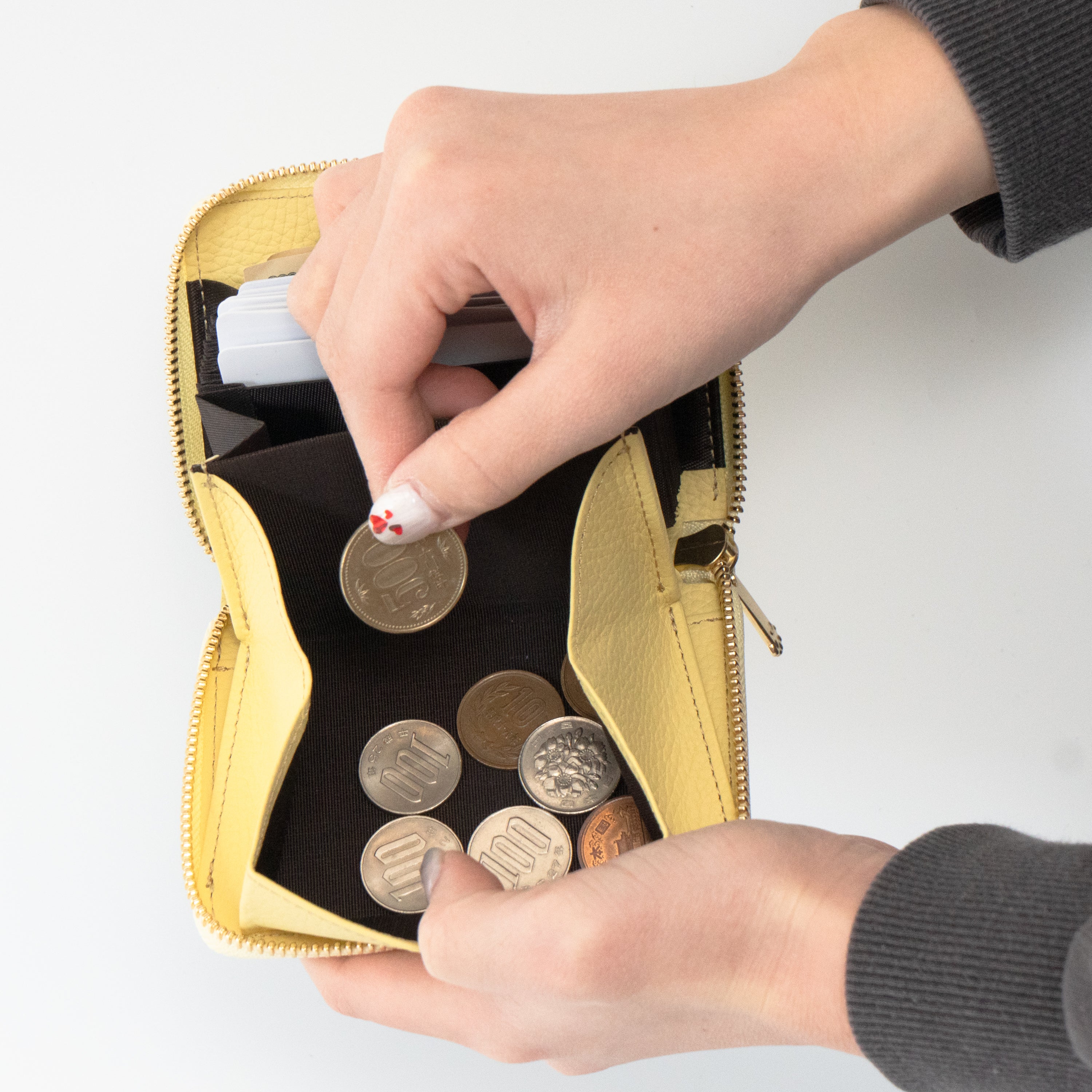 PAWラウンドファスナーミドル財布    キュイール・マッシュ  /  ジョーヌプッサン