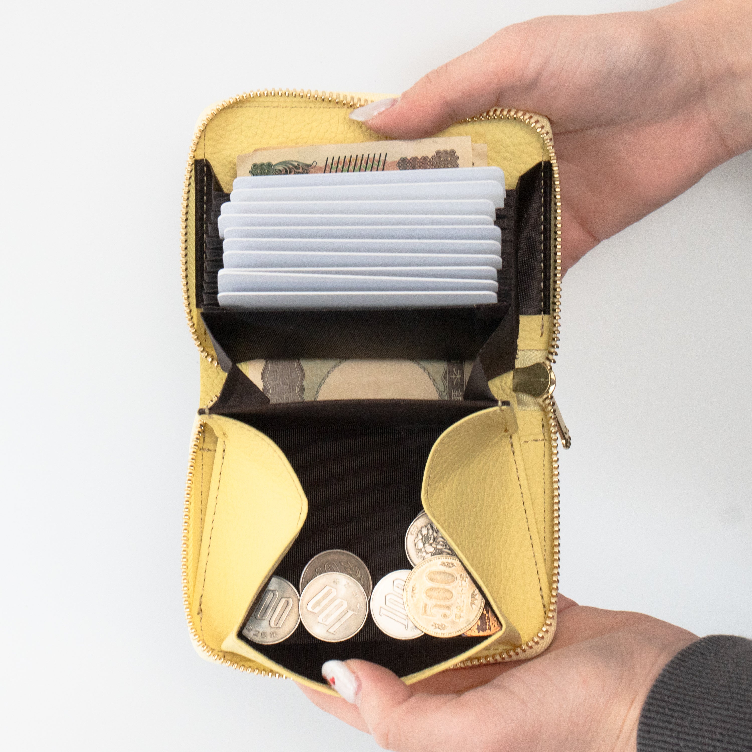 PAWラウンドファスナーミドル財布    キュイール・マッシュ  /  ジョーヌプッサン