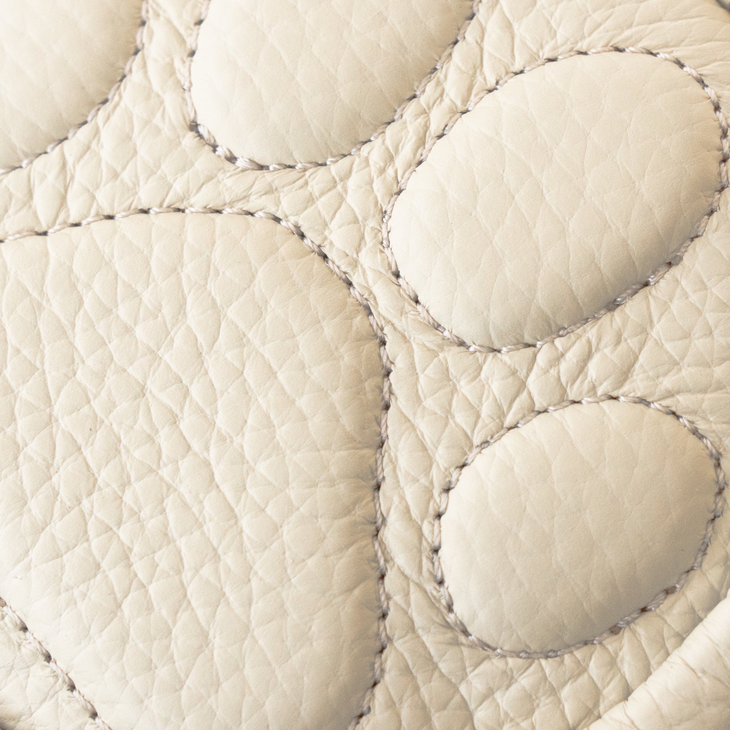 【2/21(土)22:00～23(月)23:59】【猫の日限定】PAWうちのこチャームポーチ　キュイール・マッシュ   /  メレンゲ