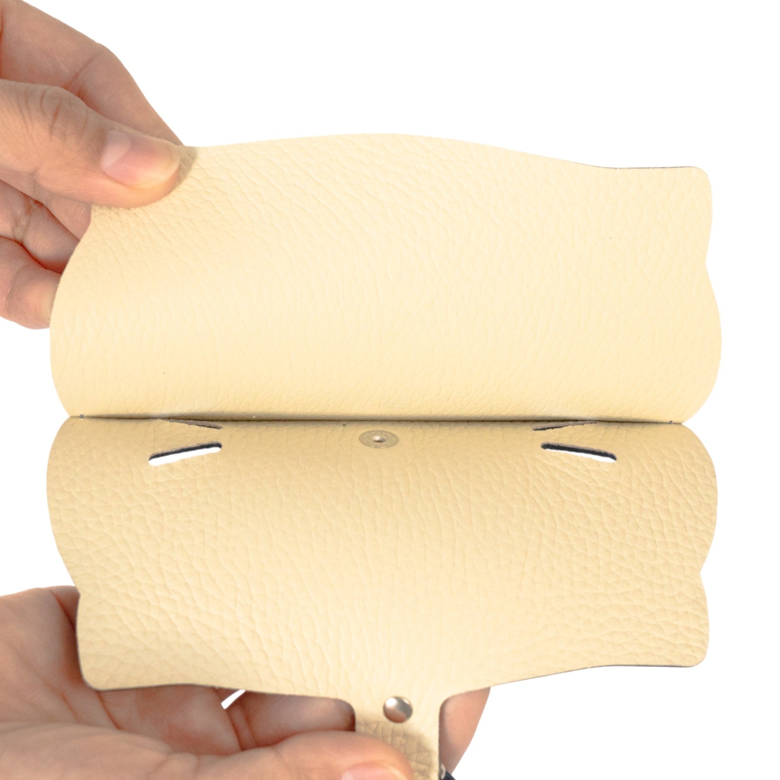 にゃんフェイス めがねケース   キュイール・ミネルバ  /  ブルーフランス