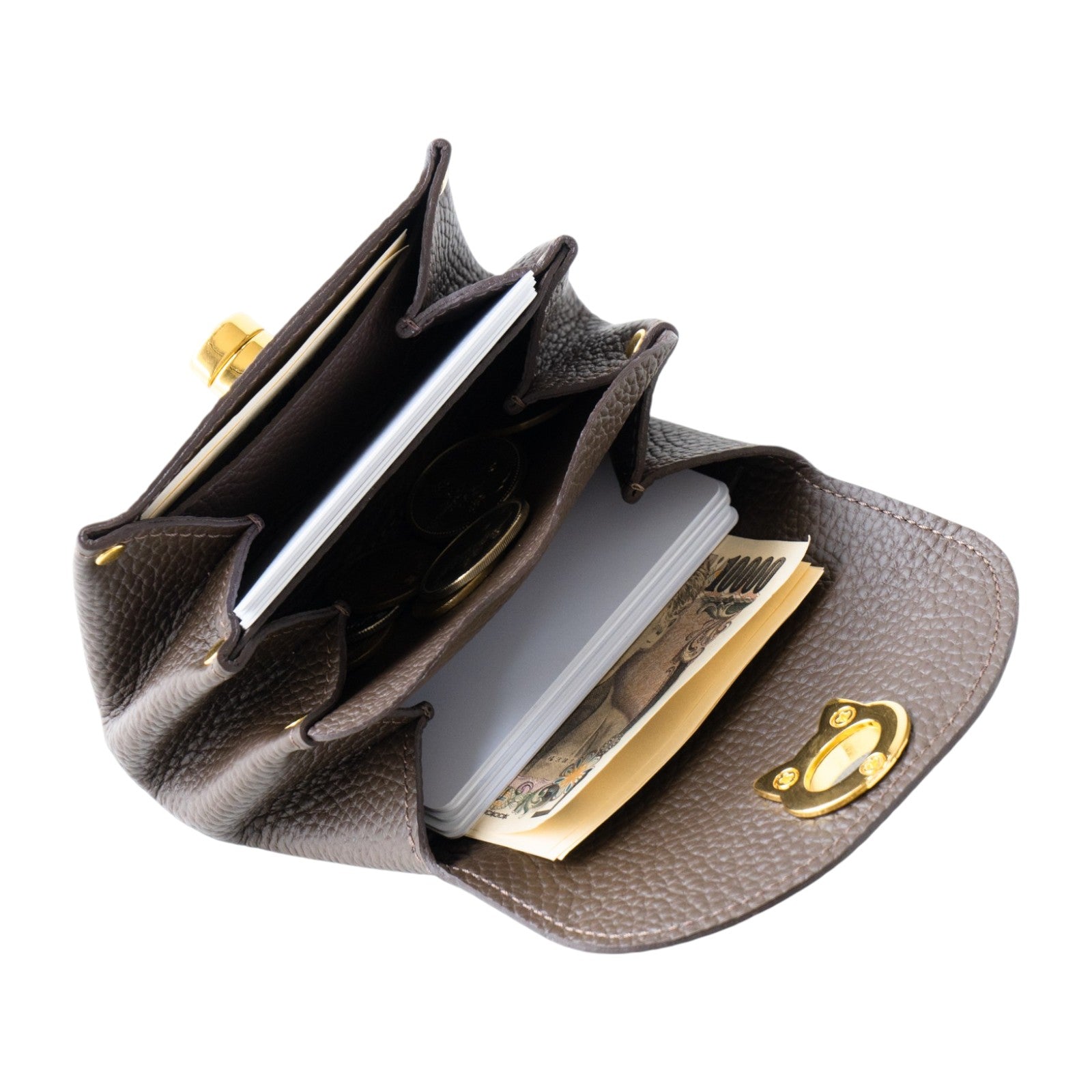 【5/22(木) 1日限定販売】シェルウォレット CAT   キュイール・マッシュ　/  チョコ