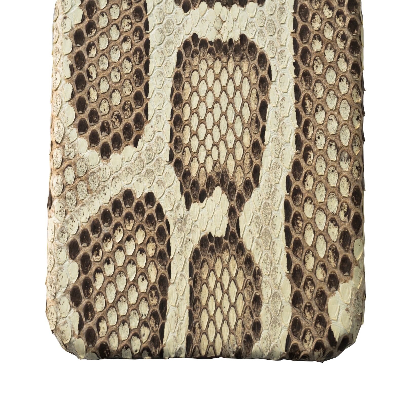 [6th Anniversary] iPhone Back Cover (iPhone15pro) Python