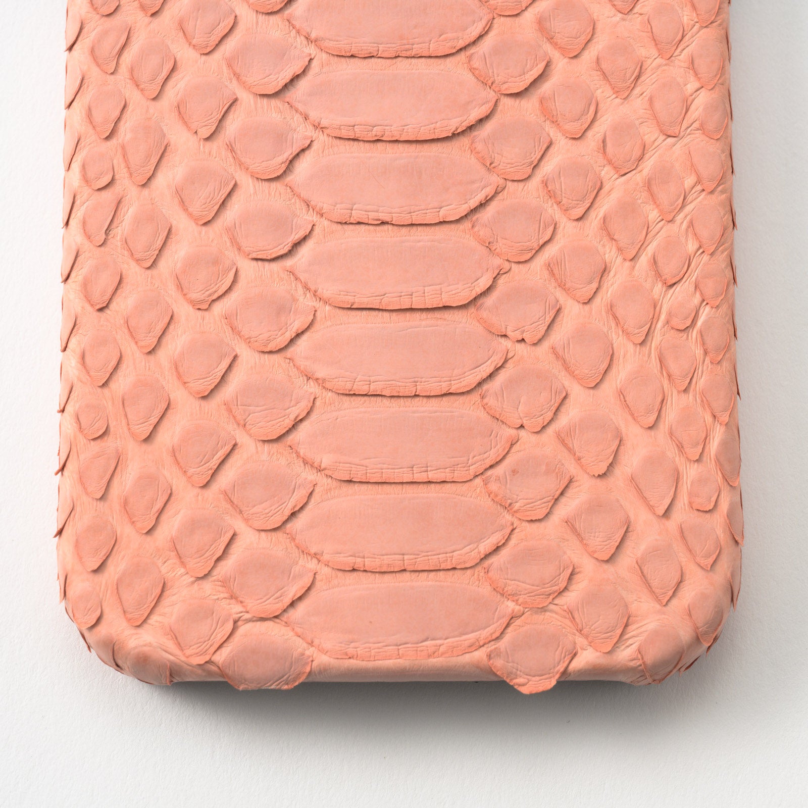 [6th Anniversary Thanksgiving] iPhone Back Cover (iPhone 15 Pro / Shell Pink) Python]