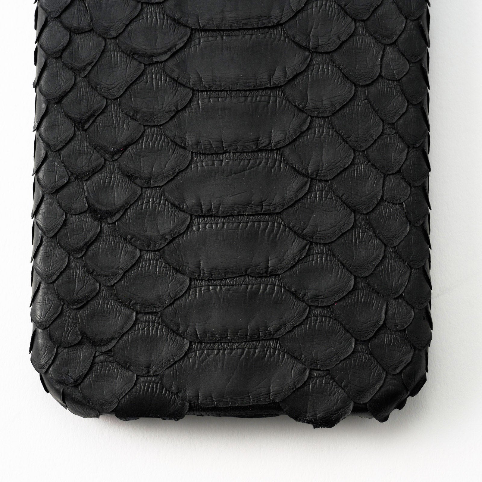 iPhone back cover (iPhone15 series/black) Python