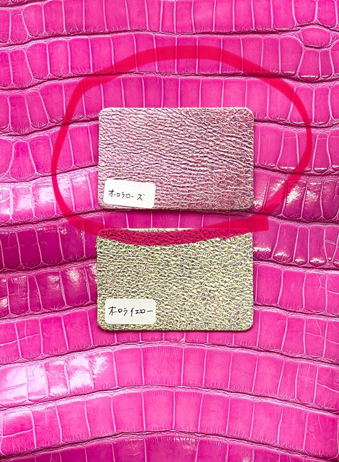 [Minami's order] Fully custom-made sunglasses case in crocodile and cherry pink